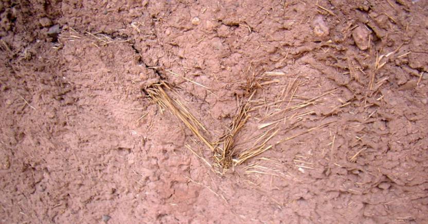 A szálerősítésű beton története