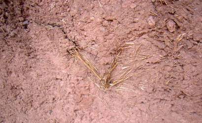 A szálerősítésű beton története